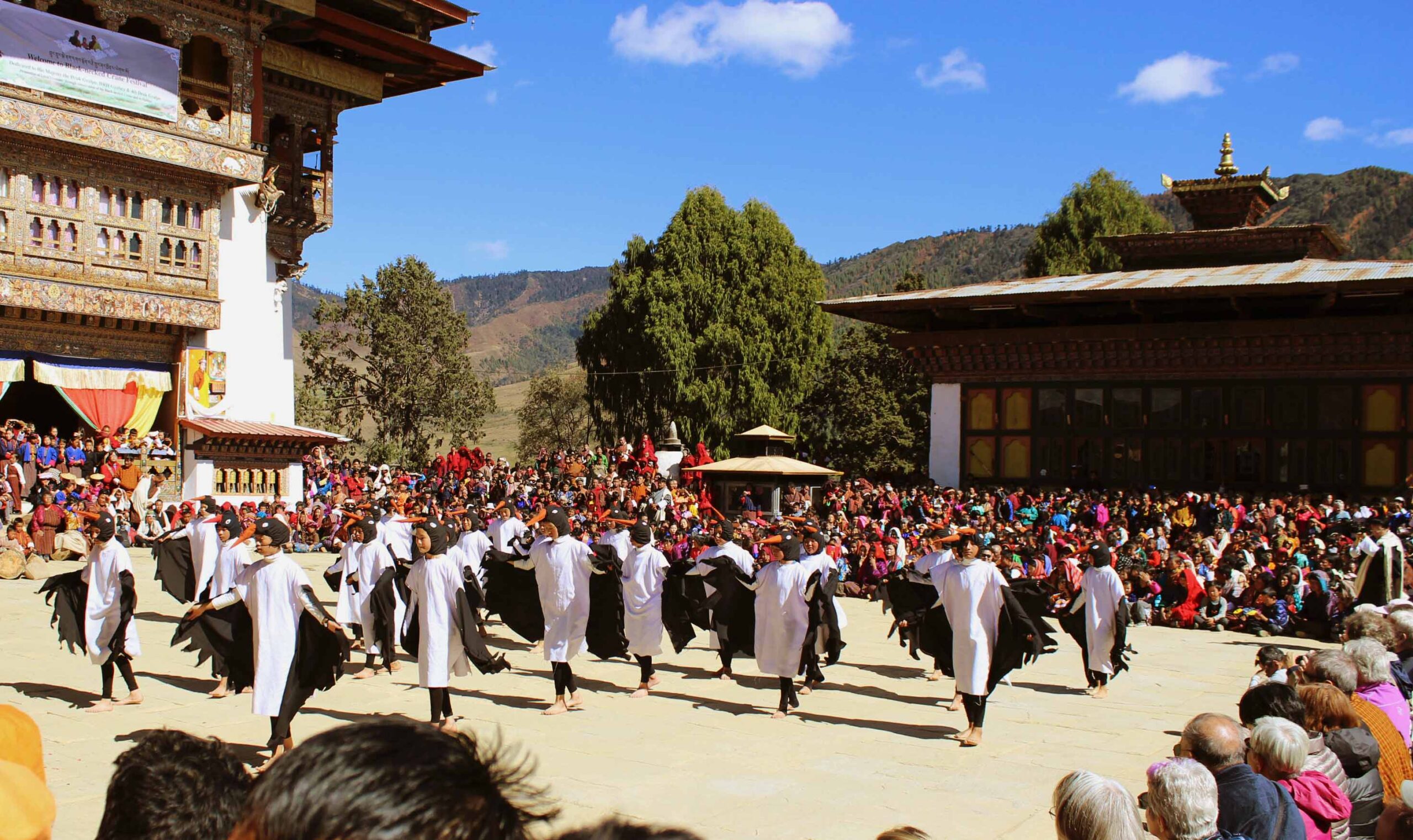 Black-Necked Crane Festival, Black-Necked Crane, bhutan festival