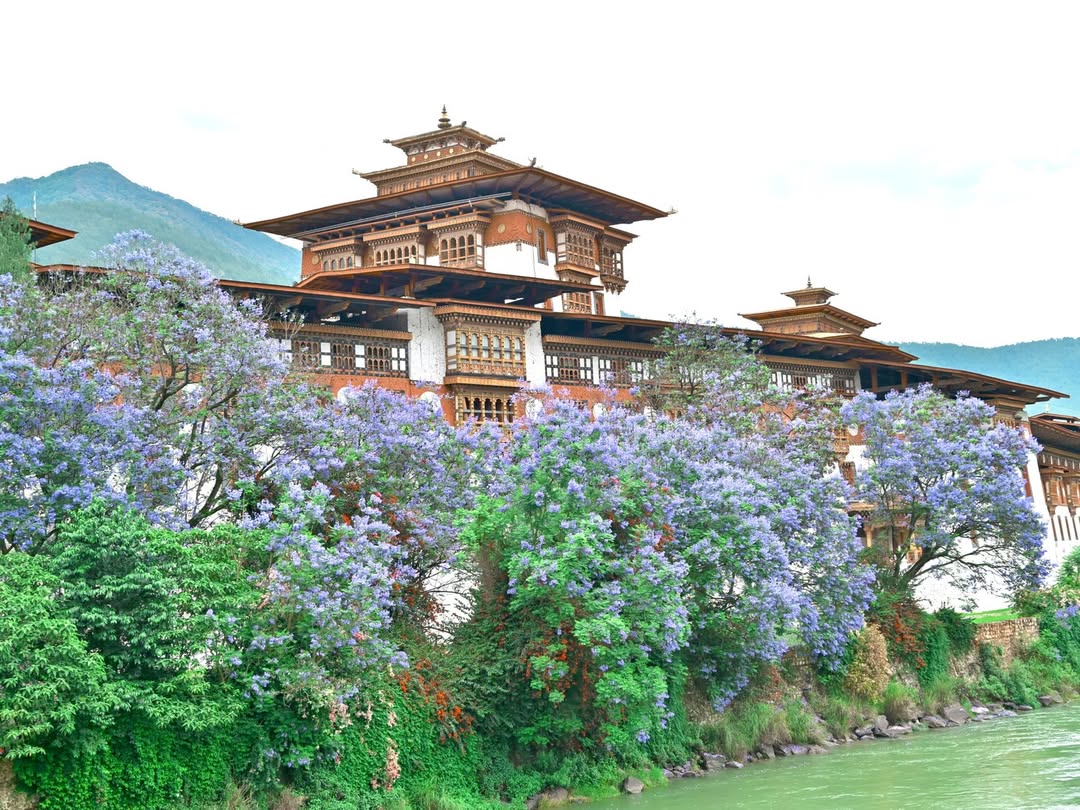 du lịch bhutan, bhutantourism, bhutan2026