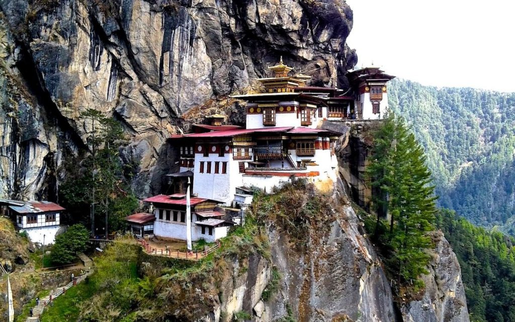 Leo Tiger's Nest