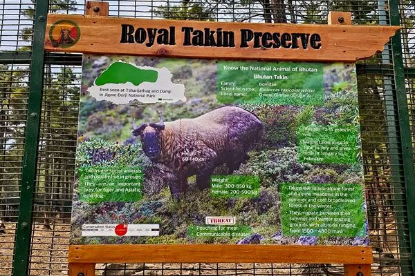 motithang takin
