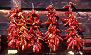ớt tại Bhutan, ớt Bhutan, ẩm thực Bhutan, Ema Datshi, trồng ớt Bhutan, văn hóa Bhutan, nông nghiệp Bhutan, món ăn Bhutan.